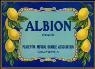 #ZLC180 - Albion Lemon Crate Label