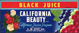 #ZLSG109 - California Beauty Black Juice Grape ...