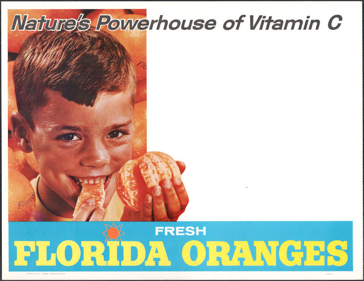 #SIGN028 - Very Large Nature's Powerhouse Florida Orange Sign