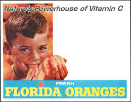 #SIGN028 - Very Large Nature's Powerhouse Florida Orange Sign