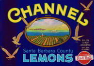 #ZLC163 - Channel Lemons Label