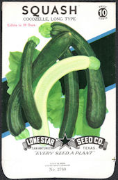 #CE077.2 - Cocozelle, Long Type Squash Lone Star 10¢ Seed Pack - As Low As 50¢ each