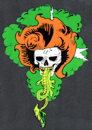 ##MUSICGD2044 - Grateful Dead Car Window Tour Sticker/Decal - Pictures a Skull with Orange Hair and Lightning Bolts
