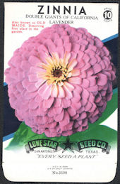 #CE047 - Double Giants of California Lavender Zinnia Lone Star 10¢ Seed Pack - As Low As 50¢ each