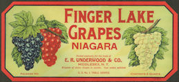 #ZLSG106 - Finger Lake Niagara Grape Crate Labe...