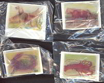 #TY327 - 16 Different Flicker Stickers