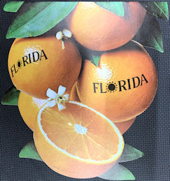 #SIGN229 - Large Florida Oranges Two Sided Pape...