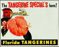 #SIGN029 - Tangerine Special Florida Sign