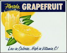 #SIGN038 - Group of 3 different Florida Grapefr...