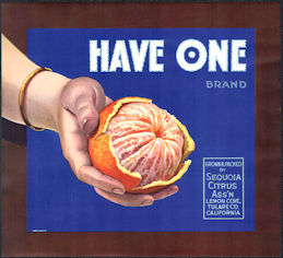 10 Different Vintage Full size Crate Labels..All Nice..Uncle Sam Etc.