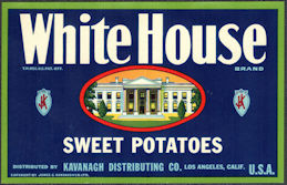 ZLSH605 - Group of 100 White House Sweet Potato...