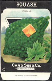 #CE160 - Scarce Hubbard Squash Card Seed Packet
