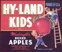 #ZLC185 - Hy-Land Kids Washington Apple Crate L...