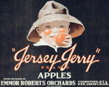 #ZLC133 - Jersey Jerry Apple Crate Label