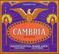 #ZLC084 - Cambria Orange Crate Label