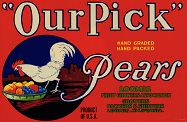 #ZLC105 - Our Pick Pear Label