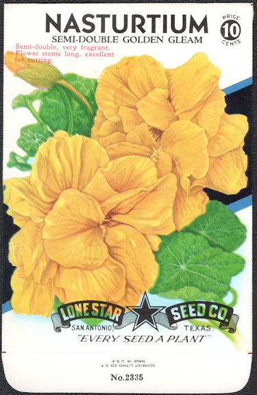 #CE019 - Semi-Double Golden Gleam Lone Star 10¢ Seed Pack - As Low As 50¢ each