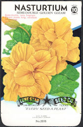 #CE019 - Semi-Double Golden Gleam Lone Star 10¢ Seed Pack - As Low As 50¢ each