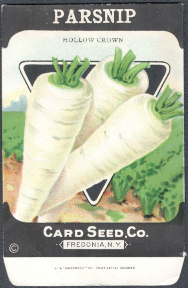 #CE164 - Scarce Parsnip Hollow Crown Card Seed Packet