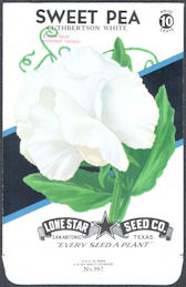 #CE036 - Brilliantly Colored Sweet Pea Cuthbertson White Lone Star 10¢ Seed Pack - As Low As 50¢ each