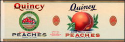 #ZLCA279 - Quincy Brand Peaches Can Label - Bir...