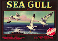 #ZLC321 - Sea Gull Lemon Crate Label