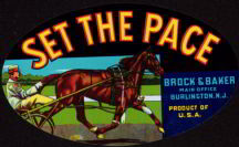 #ZLC183 - Set the Pace Crate Label