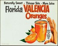 #SIGN006 - Florida Valencia Oranges Sign