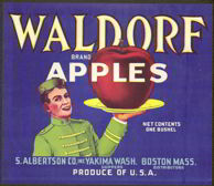 #ZLC196 - Waldorf Apple Crate Label