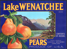 #ZLSH002 - Group of 12 Lake Wenatchee Pear Crate Labels - Blue Version